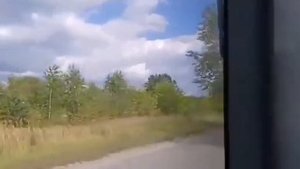 65 автобус Пермь