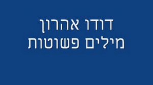 דודו אהרון- מילים פשוטות .wmv