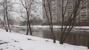 ЖК ЦВЕТОЧНЫЙ ГОРОД КОРПУС 13 || РИЭЛТОР МЫТИЩИ ||РИЭЛТОР МОСКВА || НОВОСТРОЙКА & ВТОРИЧКА || МИЭЛЬ