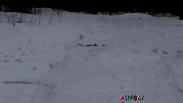 Как Работает Травматический Пистолет Стражник. Пробивает доску насквозь.. смотреть онлайн