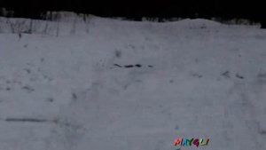 Как Работает Травматический Пистолет Стражник. Пробивает доску насквозь..