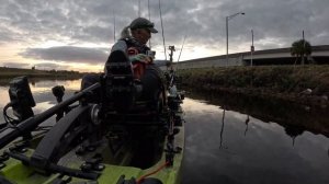 South Florida Bullseye Snakehead - 2/10/24