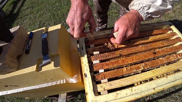 Шестирамочники. Сила на момент продажи смотреть онлайн