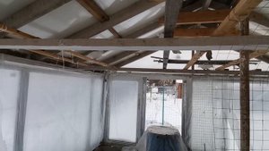 Есть голуби на продажу, такла, узб. капканы. Строю новую Голубятню.
