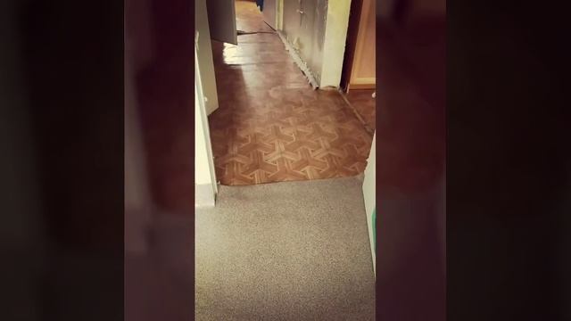 Экспресс уборка в квартире