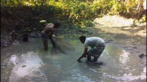 Cast Net Fishing | Catch Lot Of Tiny Fish By Cast Net | Best Fishing Video