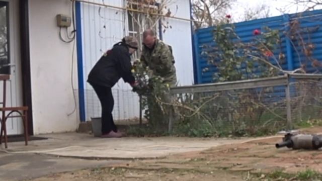 Решили немного усовершенствовать забор для дикого винограда || Показываем, как это делается в 2021 смотреть онлайн