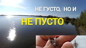Не зря приехал на это озеро. Находки есть!  Пляжно-подводный поиск потерянной ювелирки.