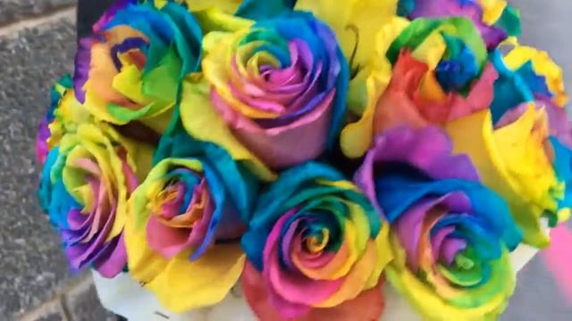 Радужные розы в шляпной коробке | DariRoza смотреть онлайн