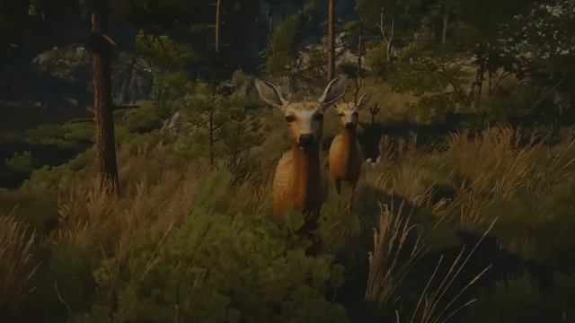 THE WITCHER 3 Mods: Free Camera & Debug Console Enabler / German PC Deutsch mit SiriuS смотреть онлайн