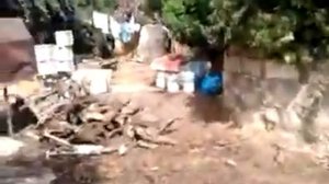 hayer kiprosum,pafosum армяне в кипре красота30 августа 2011 г. 10:51