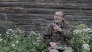 Лекарственные растения болот и заболоченных земель Казаков Константин Яковлевич