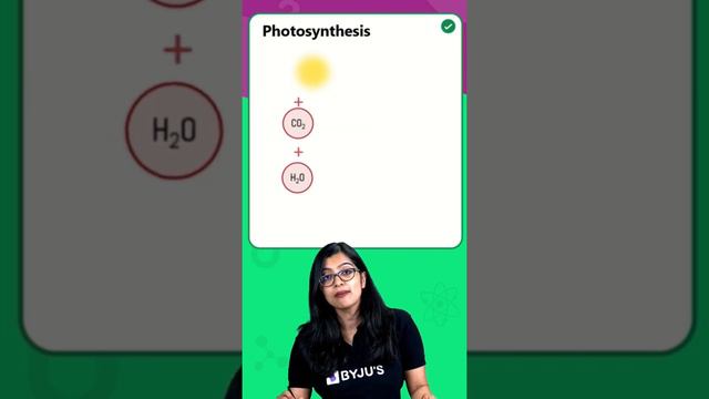 What Raw Materials are Required for the Process of Photosynthesis? | BYJU'S