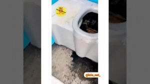 Парень залез в уличный унитаз