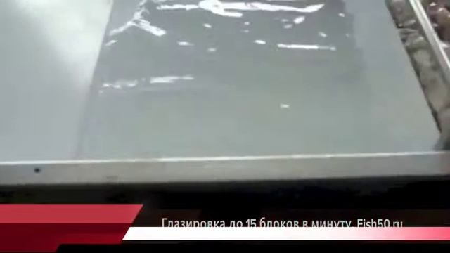 Машина глазировочная ленточная для блоков и штучной рыбы