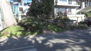 США 5168. Красивейшие места Планеты - Scenic Drive, Carmel-by-the-sea, Калифорния-океан, пляжи, дом