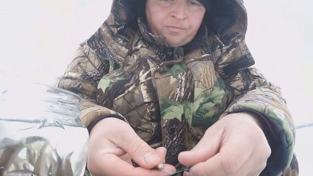 Ловля судака зимой. Как правильно насадить малька на мормышку. смотреть онлайн