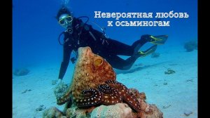 Невероятная любовь к осьминогам/Incredible Love for Octopuses