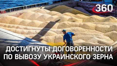 Договоренности по вывозу украинского зерна достигнуты – Минобороны Турции