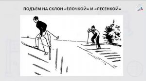 Торможение со спуска на лыжах, торможение плугом, подъем елочкой и лесенкой. Игра "Кто быстрее".