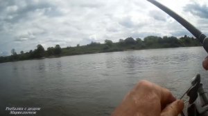 Рыбалка на Оке на донку и фидер. Начало сентября 2020 г.