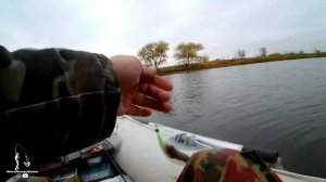 Окунь в Ноябре на спиннинг Metsui Specter 662XULS 1.98m 0.3-3.5g 1.5-3lb и приманку Larva Lux 1.6!!