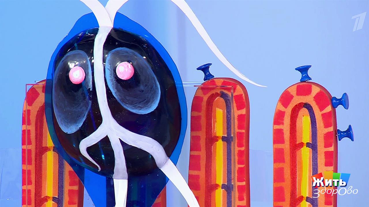 Паразит такой: лямблия. Жить здорово! Фрагмент выпуска от 27.05.2019