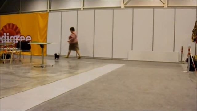 Дороти Из Созвездия Девы смотреть онлайн