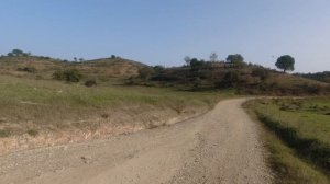 На АВТОДОМЕ по ПОРТУГАЛИИ (Часть 1: Алгарве, мимозы и сардины).