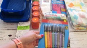 DOLLAR TREE HAUL!  I FOUND THEM!  January 17, 2020 | LeighsHome