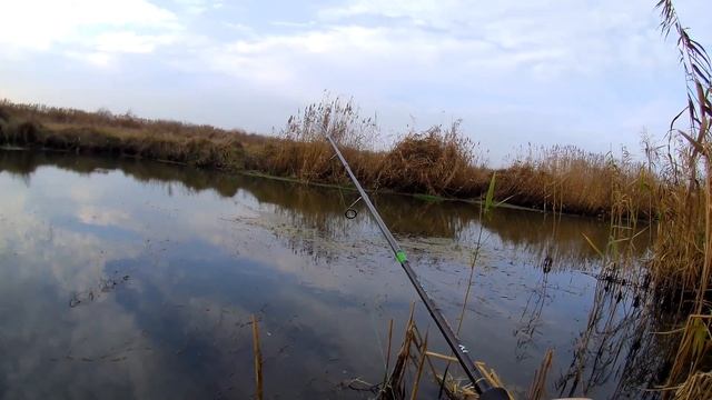 Ловля щуки ,попытка поймать судака на реке Ирпень смотреть онлайн