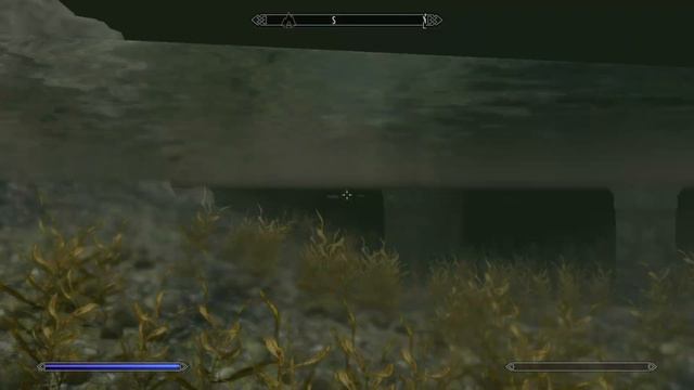 Спасибо Bethesda за новый баг👍 - Skyrim Anniversary Edition смотреть онлайн