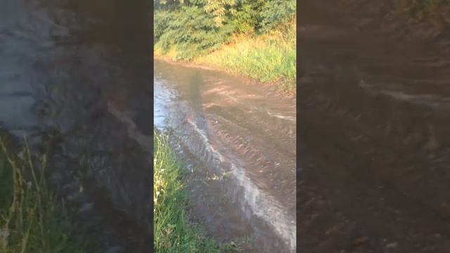 SYM QuadLander 600 смотреть онлайн