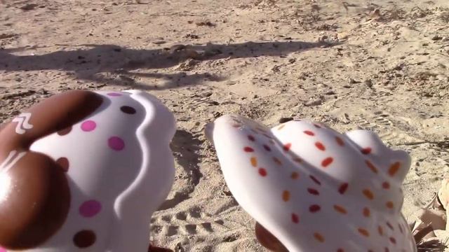 Ведьма на пляже / Mайорка в марте/ Bruja malvada / Mallorca /Playa смотреть онлайн