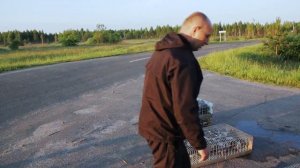 Выпуск спортивных голубей 04.06.2016 Беларусь