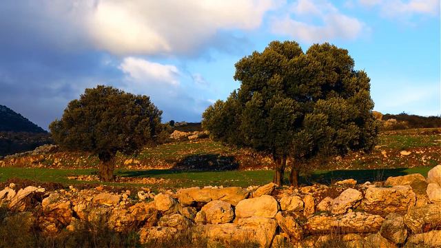 Новый Завет Послания к Титу и к Филимону. смотреть онлайн