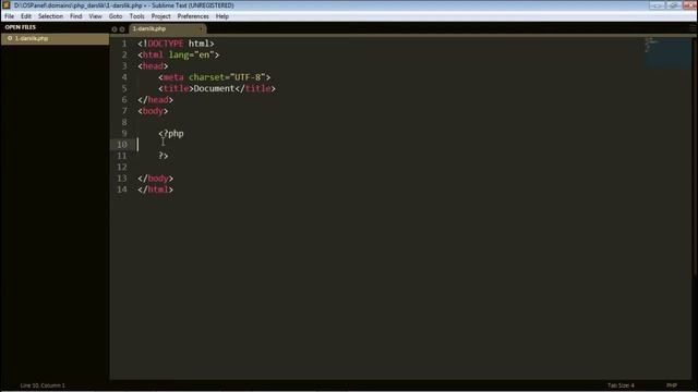 PHP Sintaksisi va echo, print buyruqlari bilan ishlash #php #devoloper #phpdeveloper #phpscripts смотреть онлайн