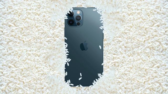 Why You Shouldn't Put Your iPhone In Rice смотреть онлайн