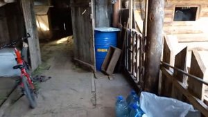 Каша для свиней#Кормдлясвиней#Свиньи#Поросята#Кормлениесвиней#Корм#рецепткашидлясвиней#Каша.