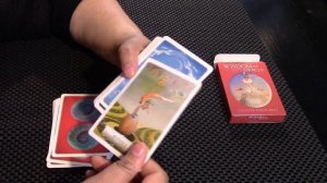 Wisdom of the Oracle Deck Review