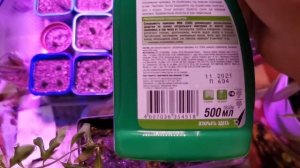 Спрей от насекомых Bona Forte 500ml BF26020011 "отзывы в Плеер.Ру"