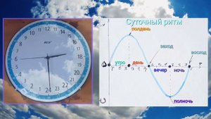 ЧТО  НЕ ТАК с 12 часами ПОЧЕМУ ЛУЧШЕ и нужно использовать 24-часовые часы