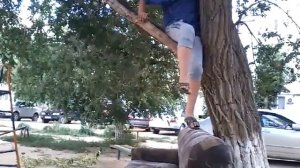 Как нужно слезать с дерева?