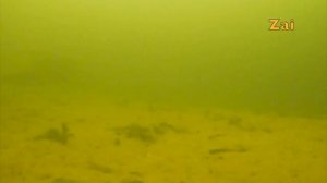 КАМЕРА CALYPSO. Практическое применение  + ТЕСТ КРЕПЕЖА в лодке.