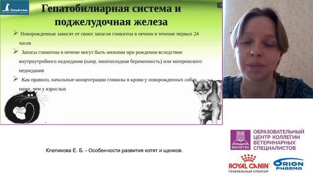 Клепикова Е. Б. - Особенности развития котят и щенков