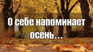 Очень трогательная душу песня "О себе напоминает осень" Христианские красивые песни МСЦ ЕХБ