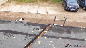 Усилитель сотовой связи МТС на производстве