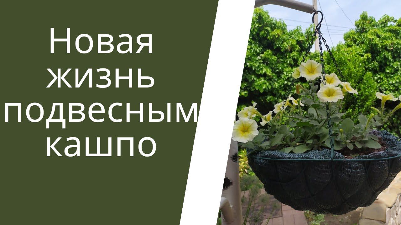 Лайфхак !!!  Новая жизнь подвесным корзинкам! Идея чем заменить  кокосовое волокно! сад