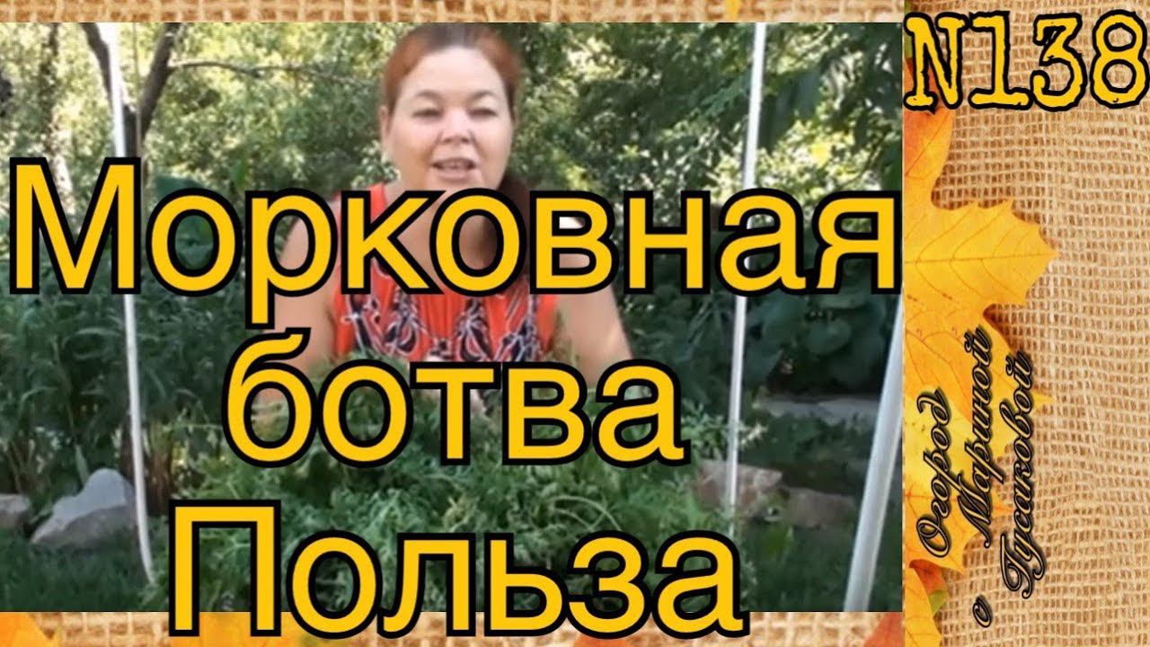 МОРКОВЬ На Зиму. МОРКОВНАЯ БОТВА Польза [29.07.17]