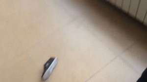 Инструкция как какать от ДИКОГО ШКОЛЬНИКА ИЗ ЧЕБОКСАР!!?!??!